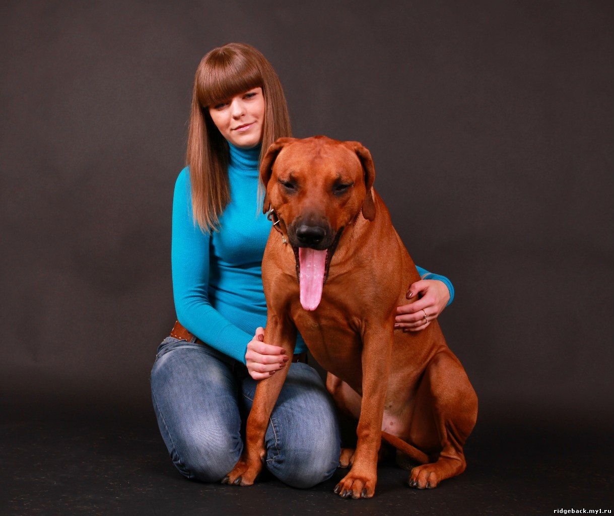 Gardian - Rhodesian  Ridgeback (46)